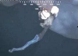 深海幕后爆料视频完整版,揭秘神秘爆料视频完整版内幕  第1张