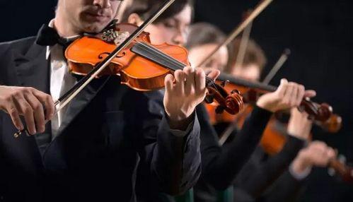 小提琴服装爆料视频下载,时尚与艺术的完美融合  第2张